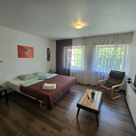 River Studio Apartament Kłajpeda
