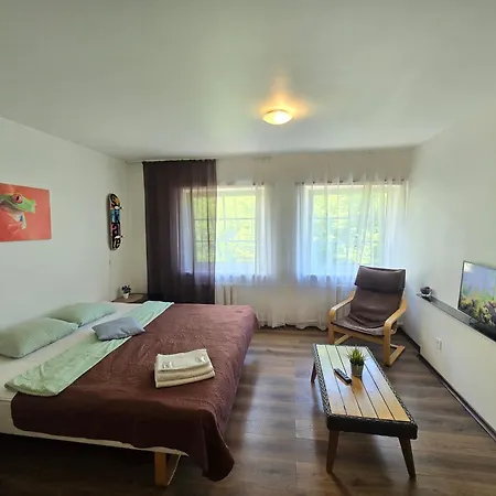 River Studio Apartament