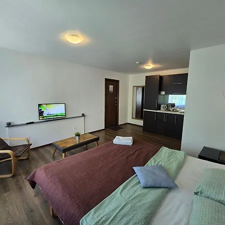 River Studio Apartament Kłajpeda